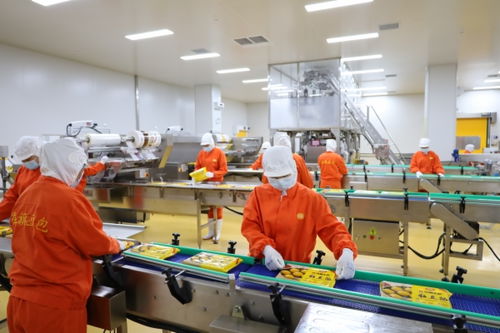 衡水農(nóng)產(chǎn)品生產(chǎn) 從傳統(tǒng)耕作到現(xiàn)代化農(nóng)業(yè)的轉(zhuǎn)型升級(jí)