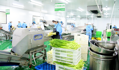 農(nóng)產(chǎn)品的生產(chǎn) 從田間到餐桌的綠色旅程